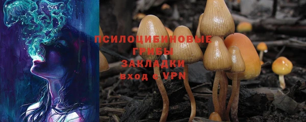 ALPHA-PVP Аркадак