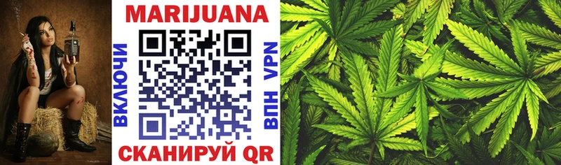 Бошки марихуана SATIVA & INDICA  дарнет шоп  Мензелинск 